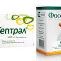 Сравнение Гептрала и Фосфоглива